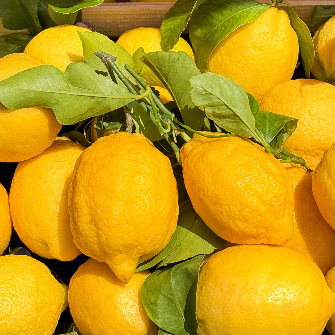 Citrus Riviera