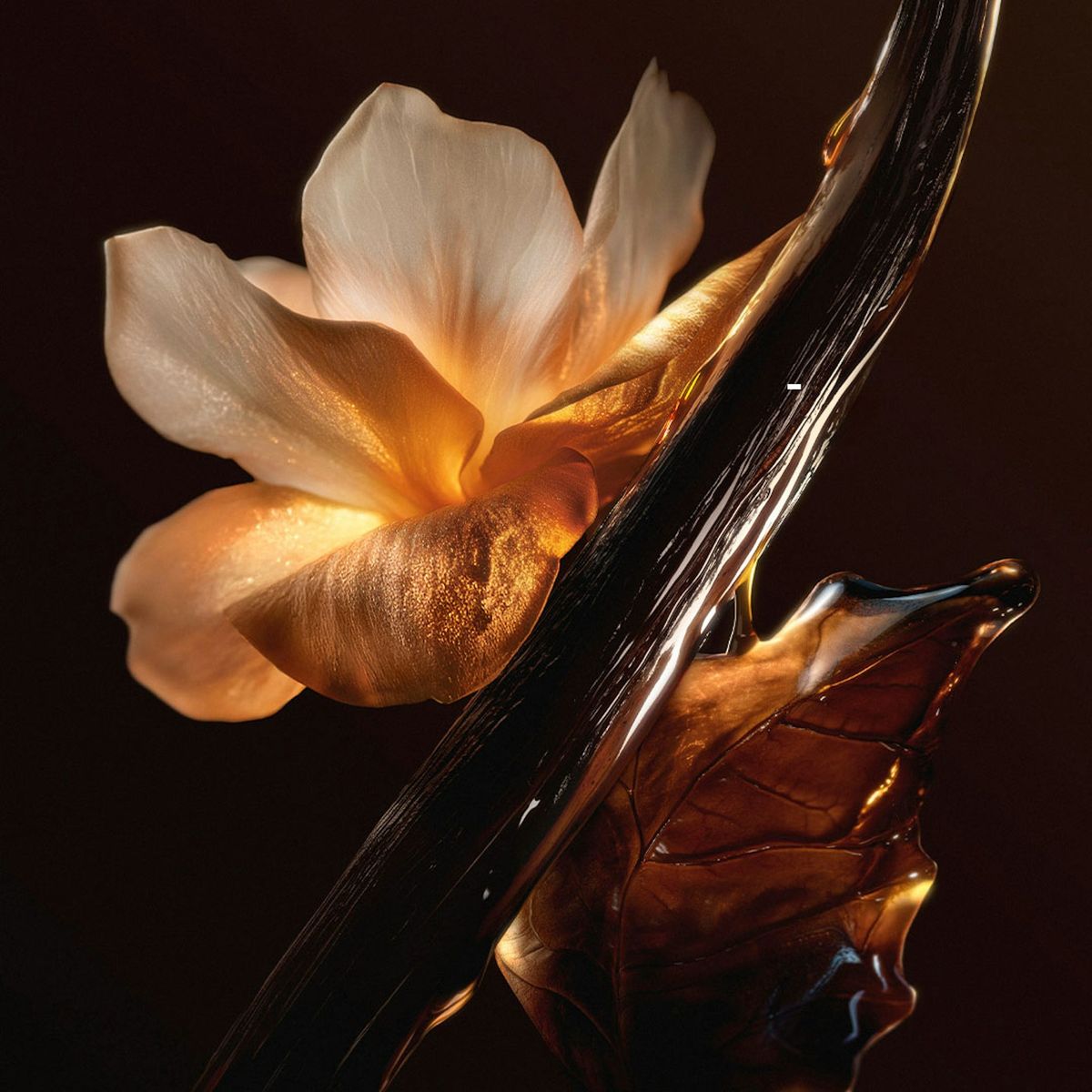 Amber Oud