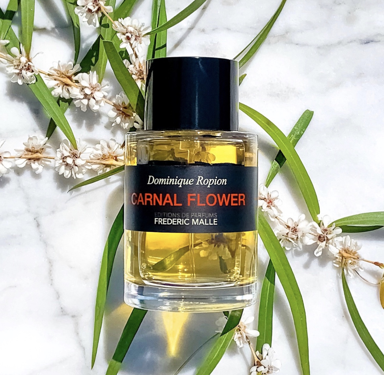 Carnal Flower