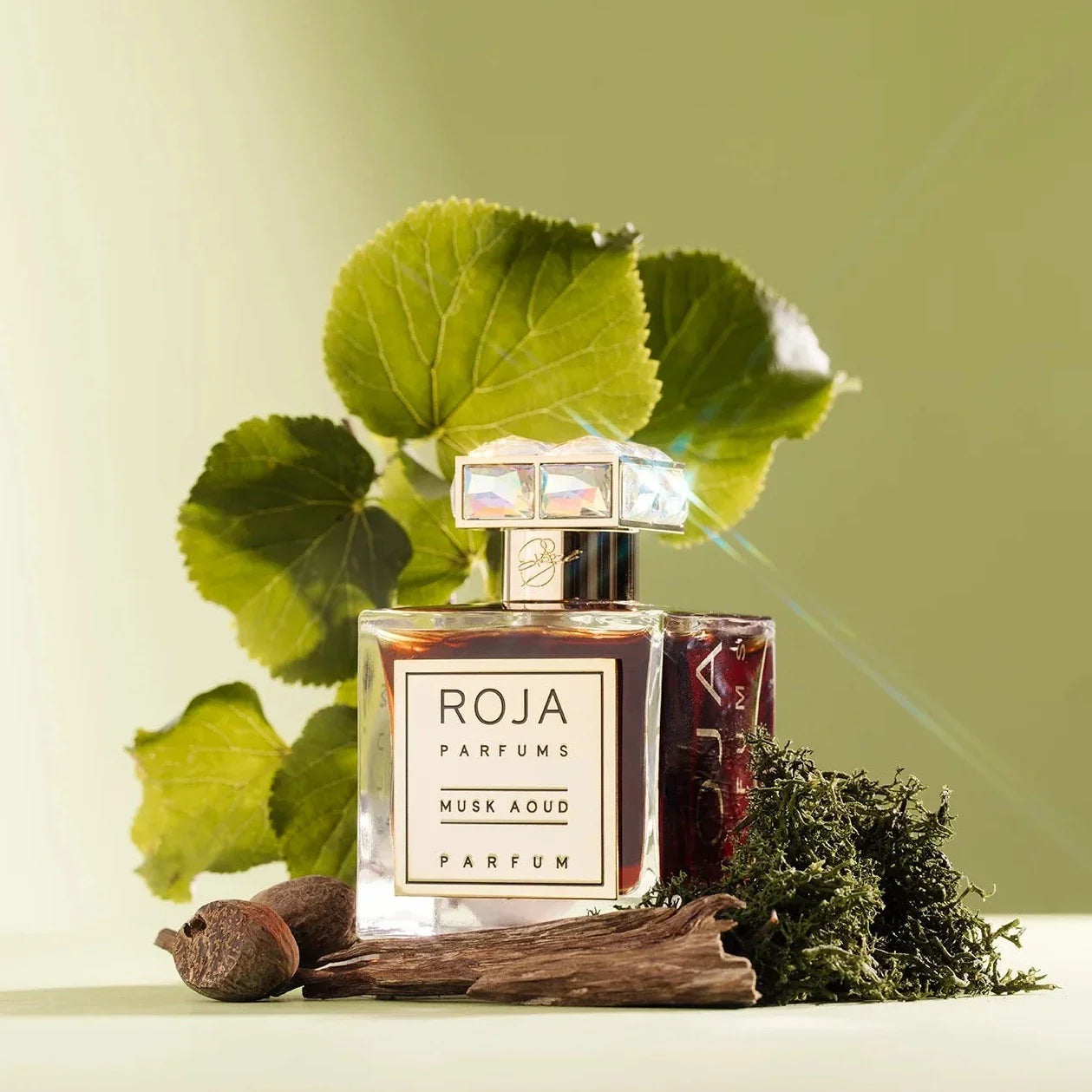Musk Aoud