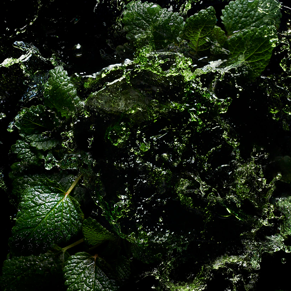Fievre Verte