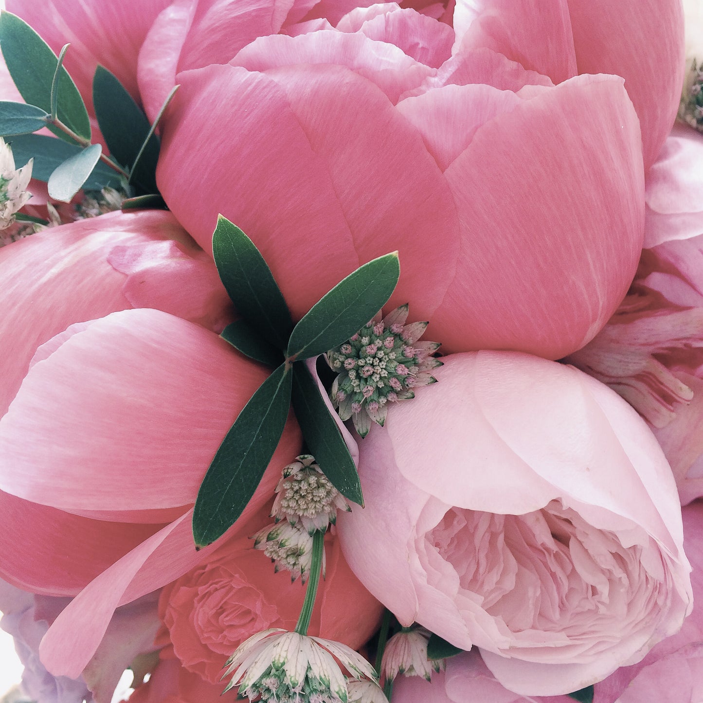 Bouquet De Hongrie