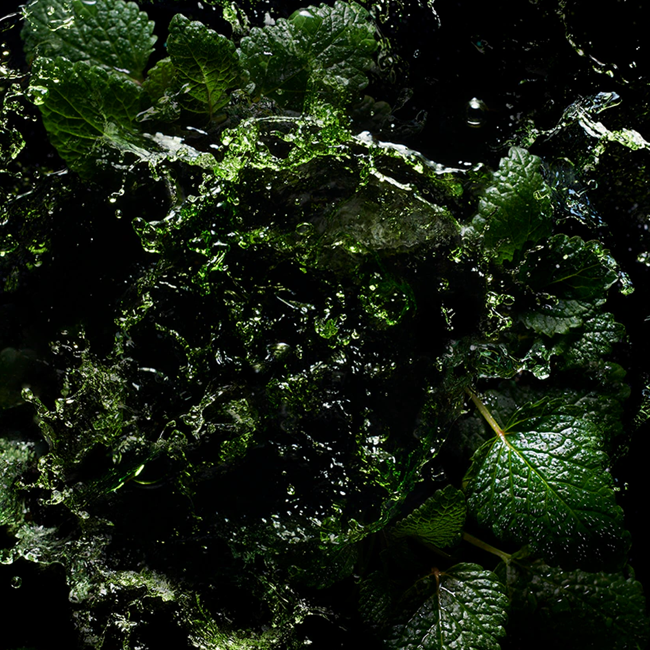 L'Heure Verte