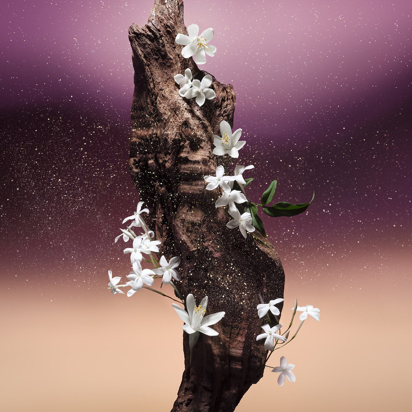 Fleur Du Desert