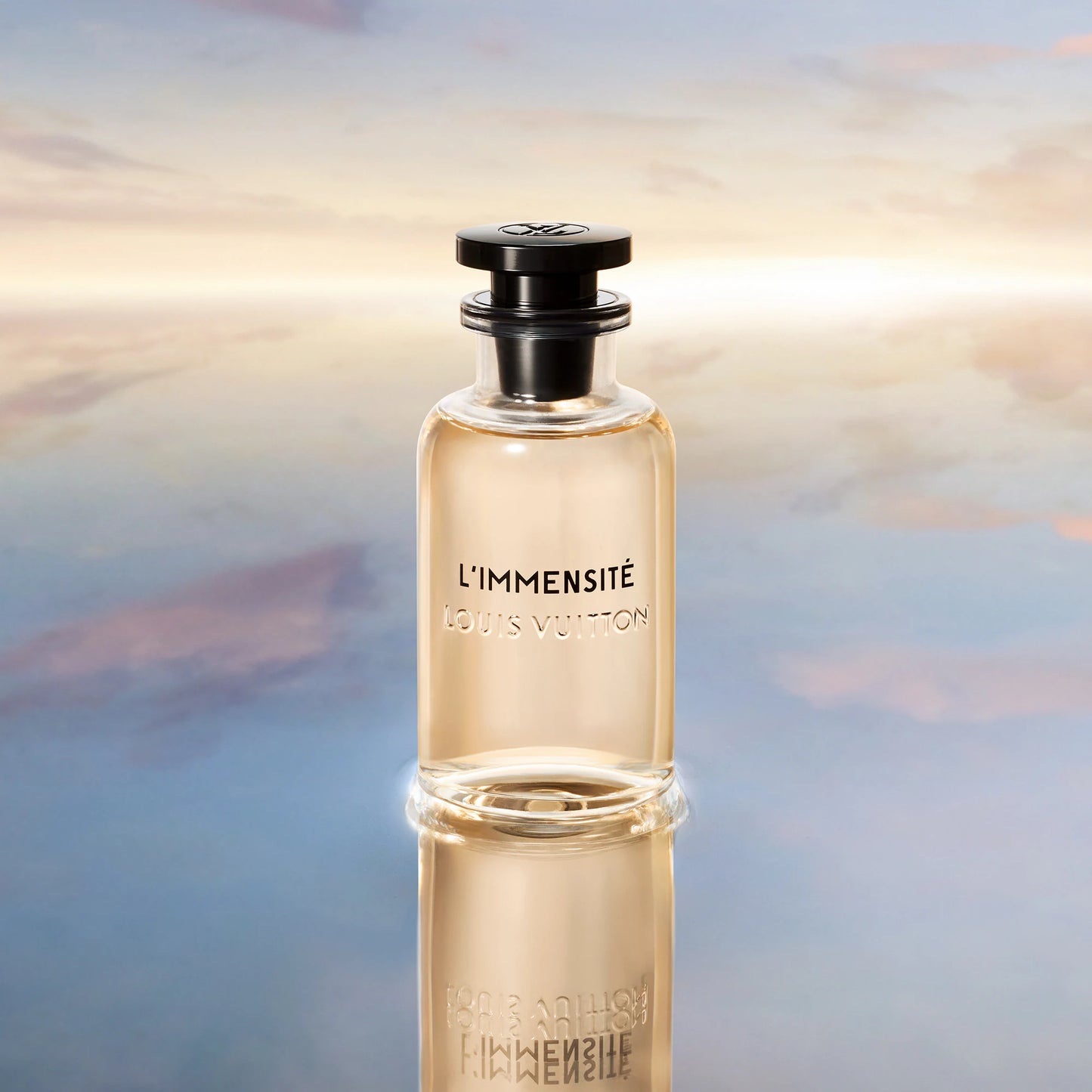 L'Immensite