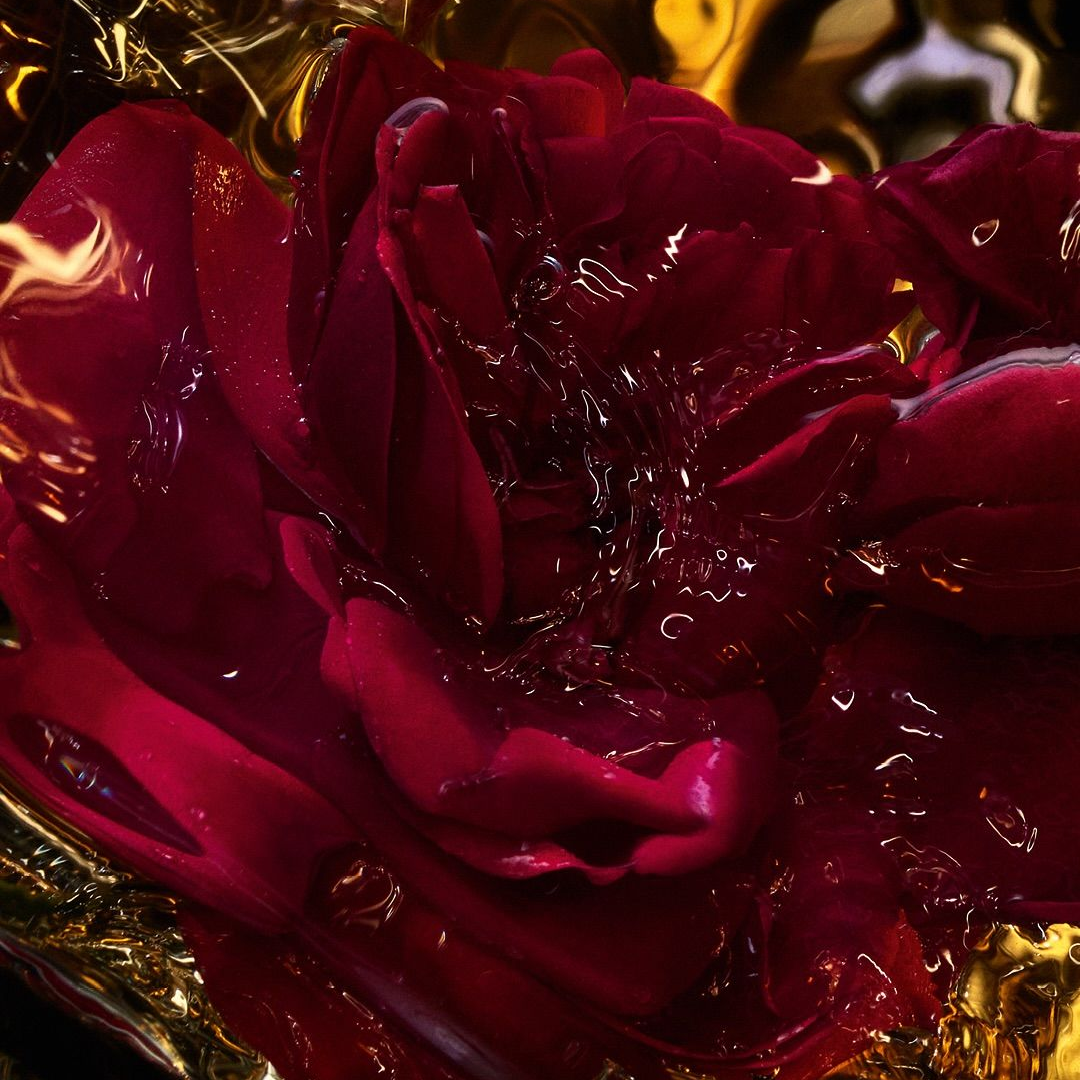 Rose Oud (Old)