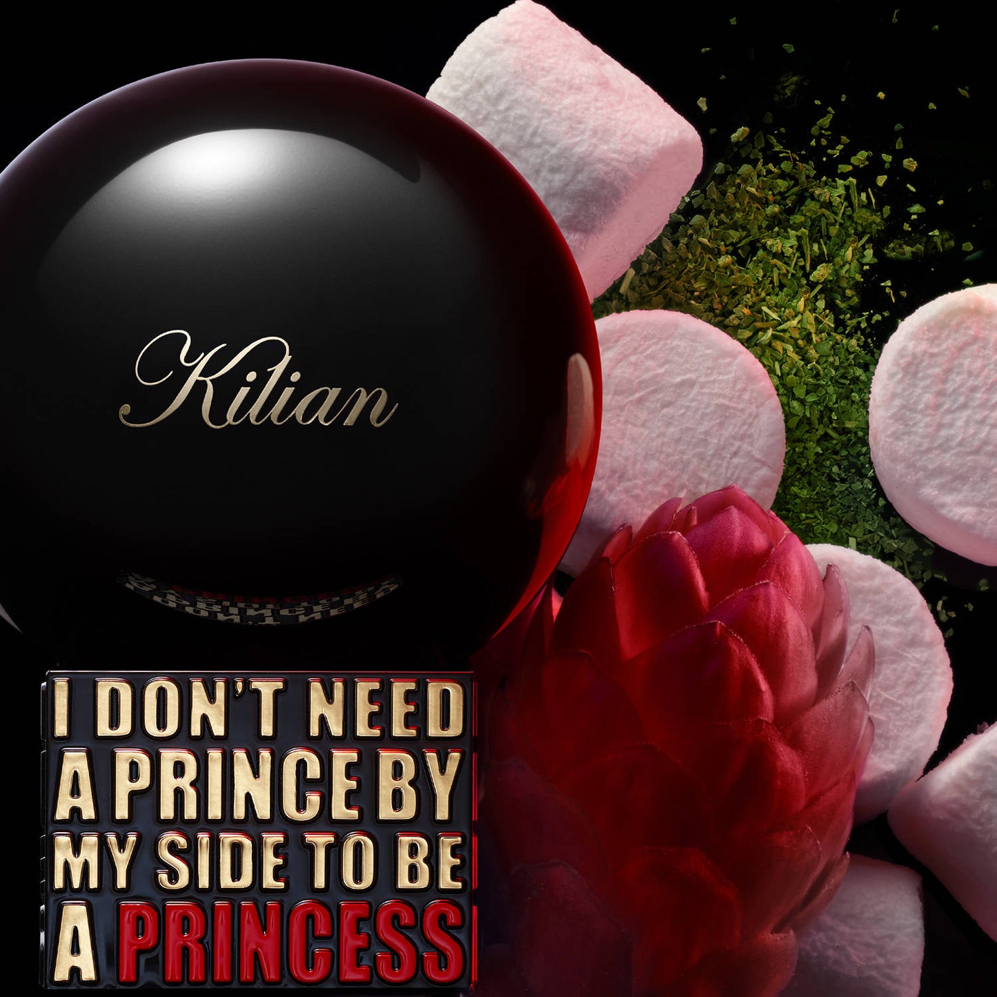 I Don't Need A Prince By My Side To Be A Princess